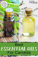 Photo collage of various small bottles of essential oils. Text overlay says: "Best Essential Oils For Candida (clove, lavender, tea tree & more)"