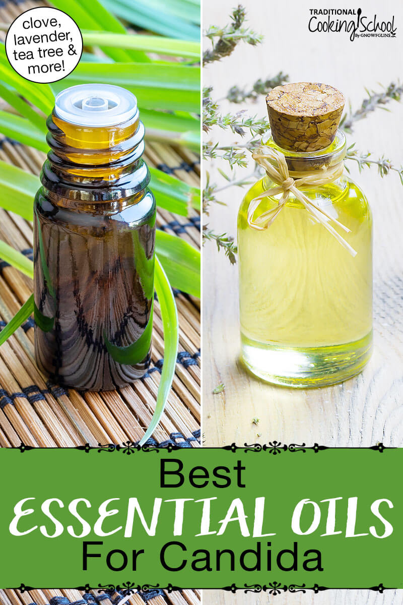 Photo collage of various small bottles of essential oils. Text overlay says: "Best Essential Oils For Candida (clove, lavender, tea tree & more)"