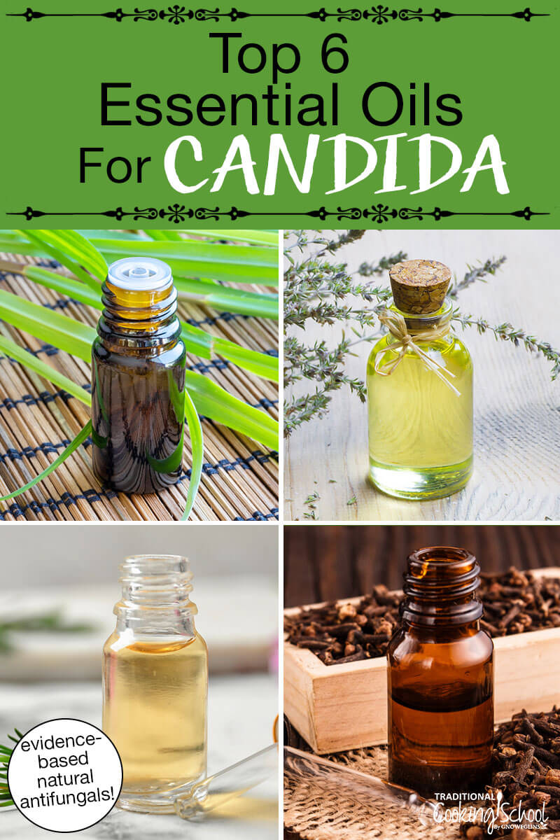 Photo collage of various small bottles of essential oils. Text overlay says: "Top 6 Essential Oils For Candida (evidence-based natural antifungals!)"
