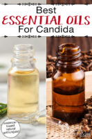 Photo collage of various small bottles of essential oils. Text overlay says: "Best Essential Oils For Candida (evidence-based natural antifungals!)"