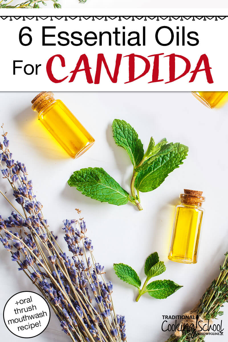 Flatlay of lavender flowers and mint leaves interspersed with small bottles filled with oil. Text overlay says: "6 Essential Oils For Candida (+oral thrush mouthwash recipe!)"