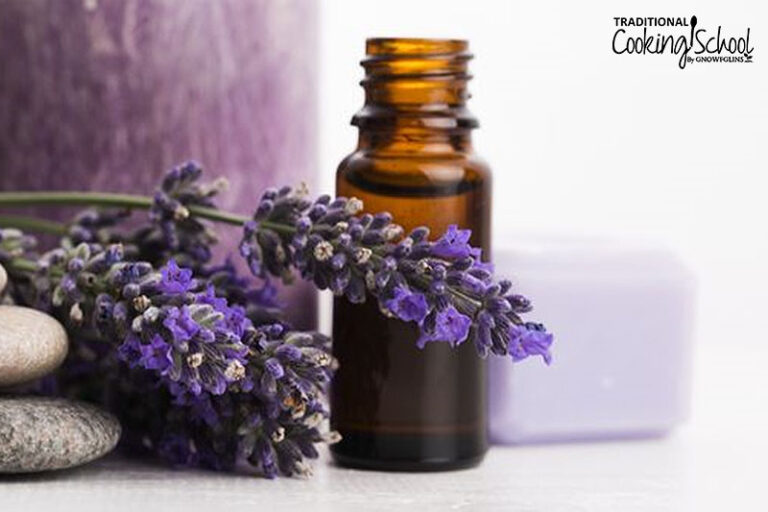 6 Essential Oils For Candida (+ Oral Thrush Mouthwash Recipe!)