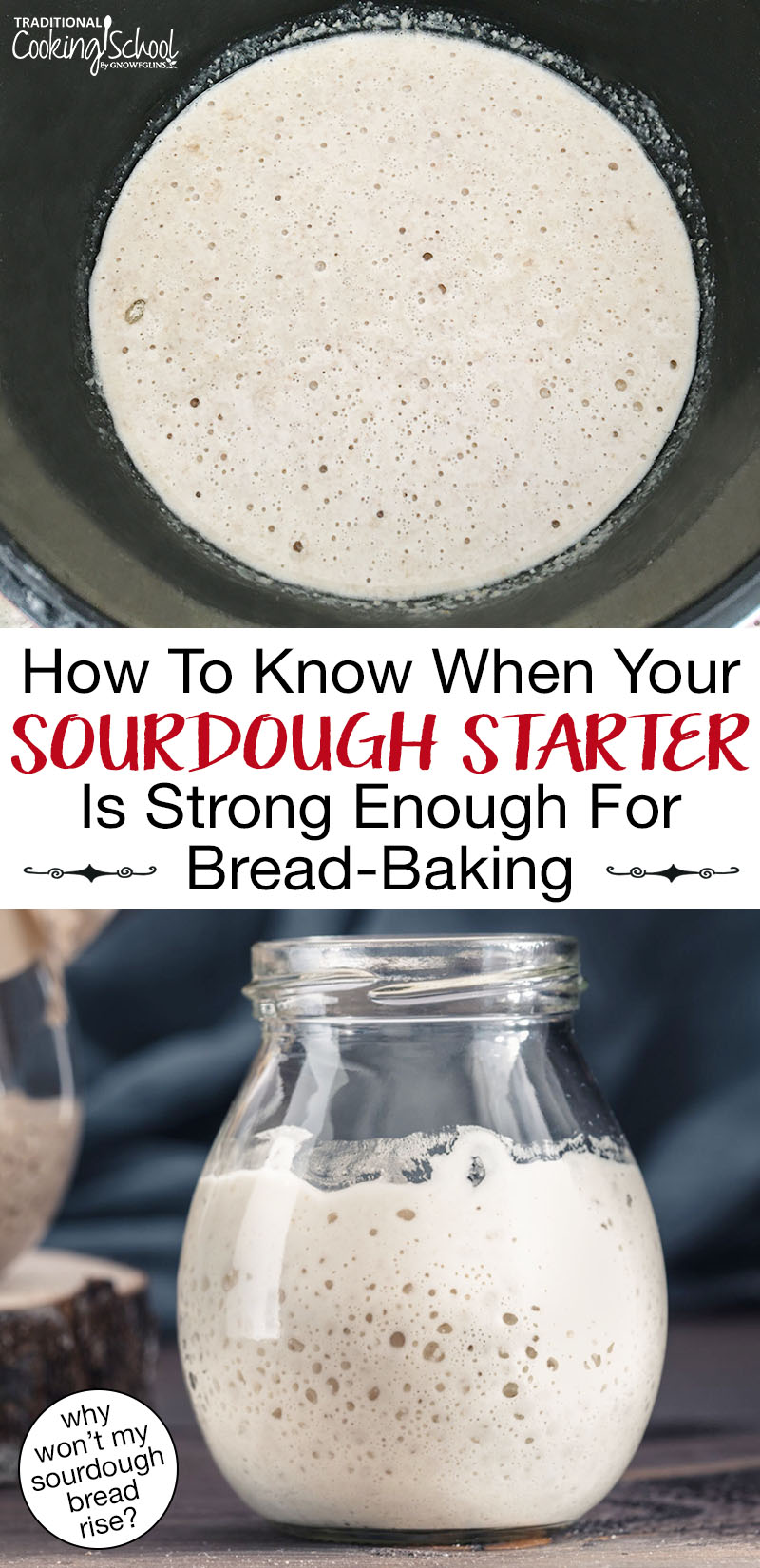 Photo collage of bubbly sourdough starter. Text overlay says: "How To Know When Your Sourdough Starter Is Strong Enough For Bread-Baking (why won't my sourdough bread rise?)"
