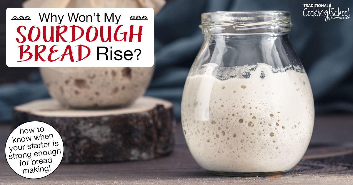 Is Your Sourdough Starter Strong Enough For Bread-Baking?