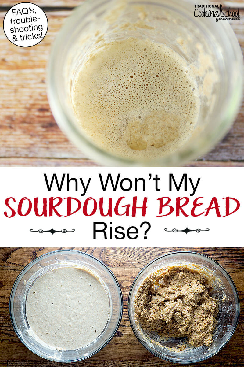 Photo collage of bubbly sourdough starter and sourdough batter in a bowl. Text overlay says: "Why Won't My Sourdough Bread Rise? (FAQs, troubleshooting & tricks)"
