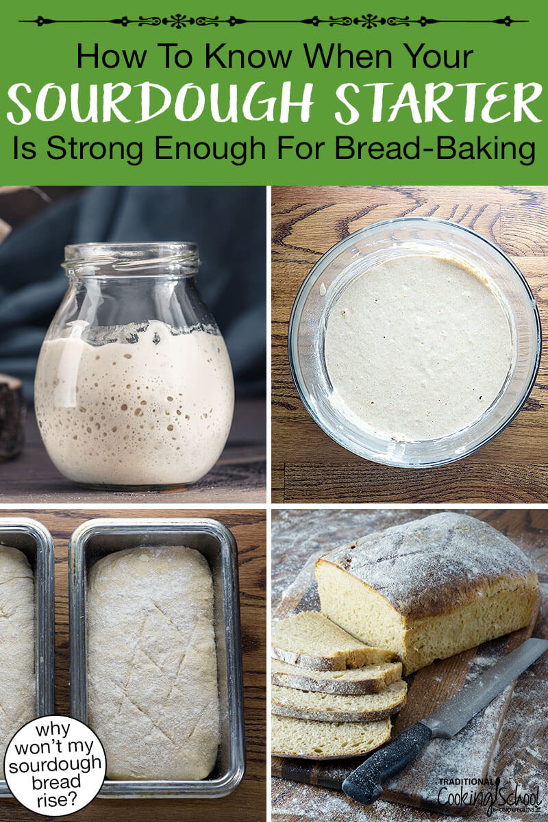 Photo collage of bubbly sourdough starter, bread dough in loaf pans ready to be baked, and freshly baked, sliced bread. Text overlay says: "How To Know When Your Sourdough Starter Is Strong Enough For Bread-Baking (why won't my sourdough bread rise?)"
