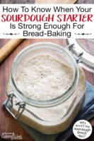 Bubbly sourdough starter in a large open flip-top jar. Text overlay says: "How To Know When Your Sourdough Starter Is Strong Enough For Bread-Baking (why won't my sourdough bread rise?)"