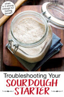 Bubbly sourdough starter in a large open flip-top jar. Text overlay says: "Troubleshooting Your Sourdough Starter (when is it strong enough for baking bread?)"