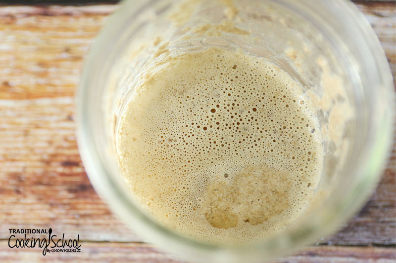Close-up shot of bubbly sourdough starter that is strong enough for bread-baking.