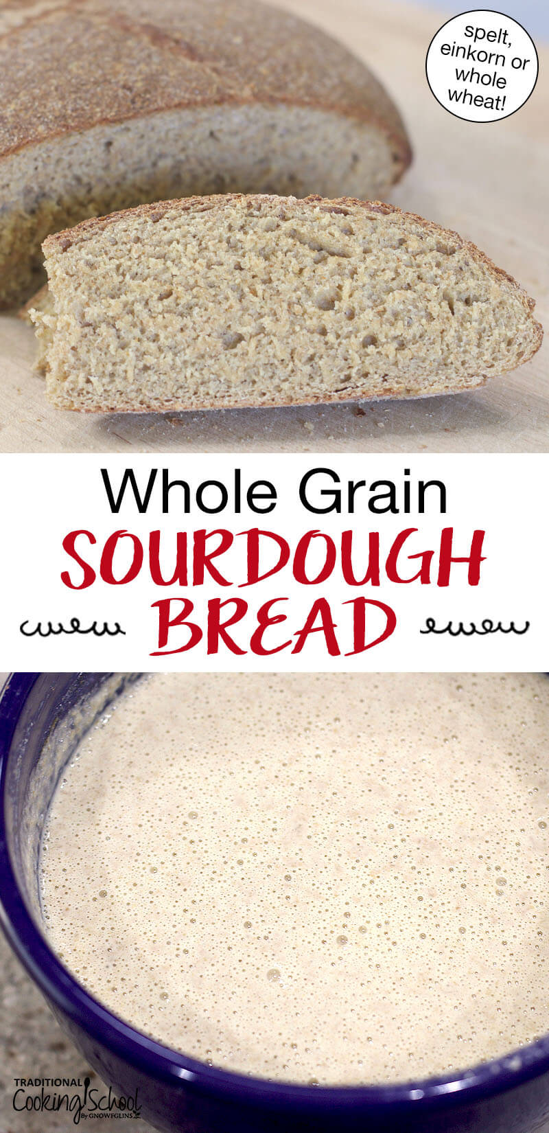 Photo collage of sourdough starter, and a slice of sourdough bread. Text overlay says: "Whole Grain Sourdough Bread (spelt, einkorn or whole wheat!)"