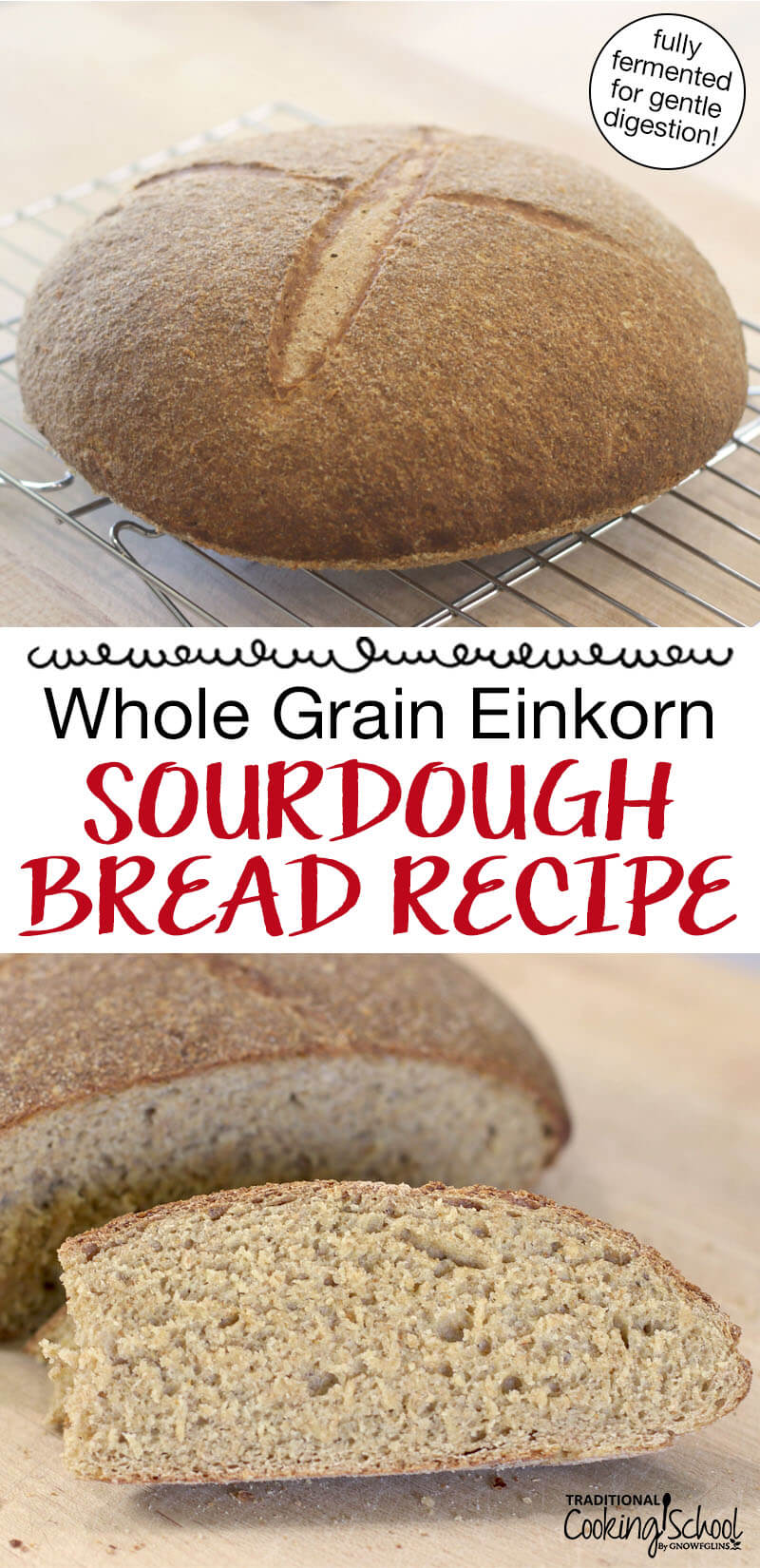 Photo collage of sourdough bread cooling, and slices of the finished loaf (one is buttered). Text overlay says: "Whole Grain Einkorn Sourdough Bread Recipe (fully fermented for gentle digestion!)"