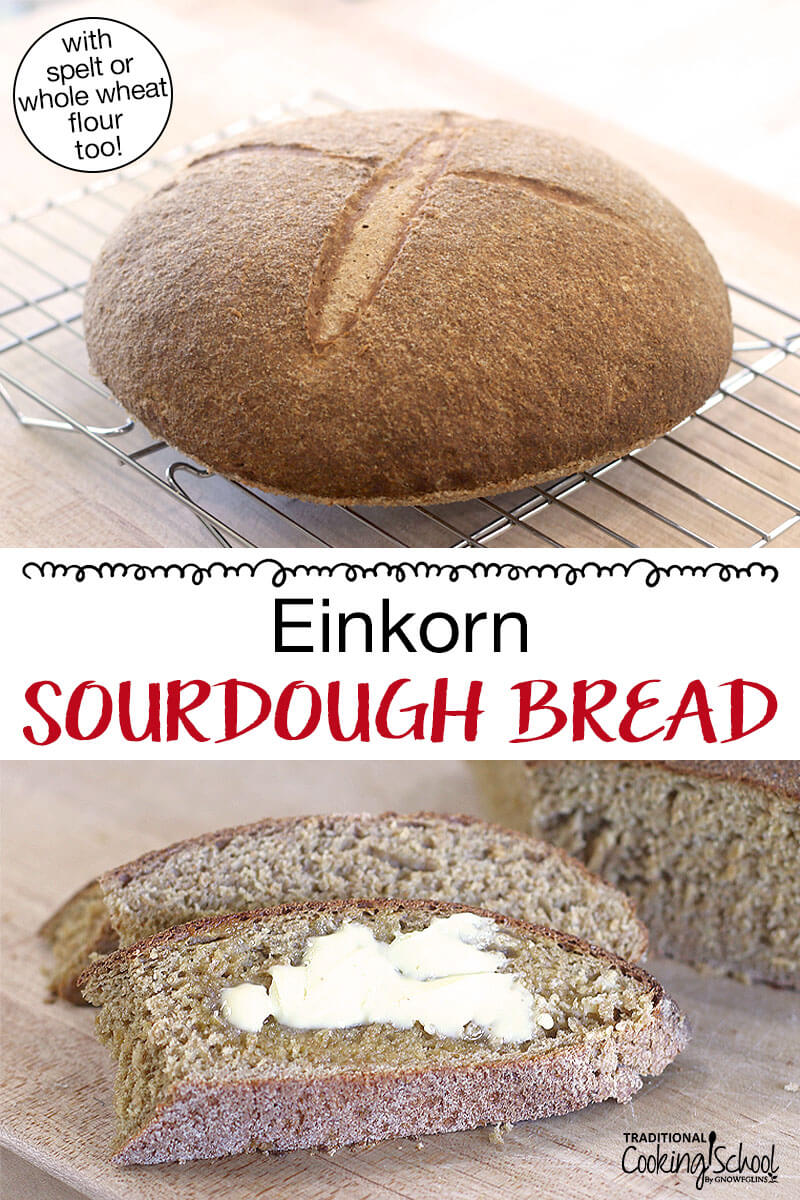 Photo collage of sourdough bread cooling, and slices of the finished loaf (one is buttered). Text overlay says: "Einkorn Sourdough Bread (with spelt or whole wheat flour too)"