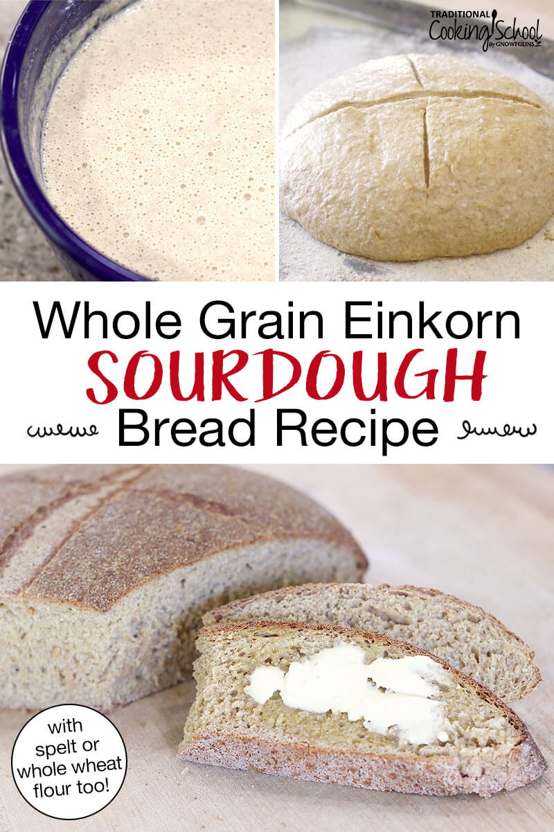 Photo collage of sourdough starter, a loaf of sourdough bread rising, and a buttered slice. Text overlay says: "Whole Grain Einkorn Sourdough Bread Recipe (with spelt or whole wheat flour too!)"