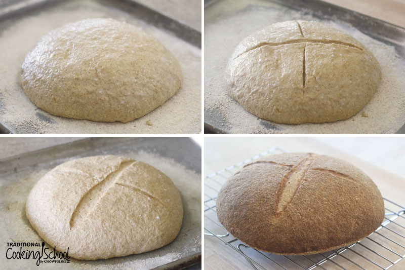 Collage of shaping and letting a sourdough loaf of bread rise.
