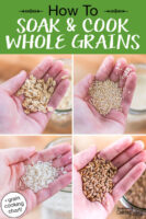 Photo collage of woman's hand holding up handfuls of different grains: rolled oats, quinoa, rice, and spelt. Text overlay says: "How To Soak & Cook Whole Grains (+grain cooking chart!)"
