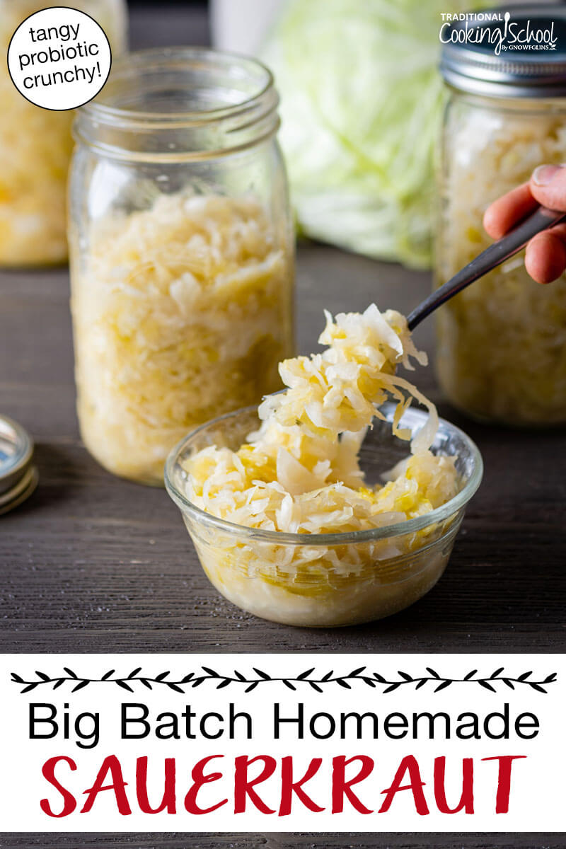 Scooping up a bite of homemade sauerkraut out of a small dish. Text overlay says: "Big Batch Homemade Sauerkraut (tangy, probiotic, crunchy)"