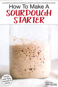 How To Make A Sourdough Starter (FAQs, care tips, recipes &amp; more!)