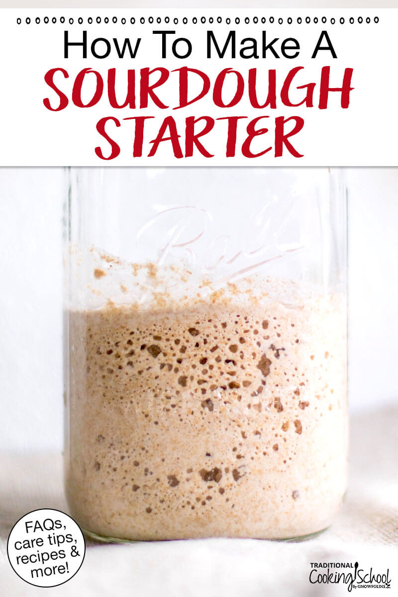 Bubbly sourdough starter in a glass jar. Text overlay says: "How To Make A Sourdough Starter (FAQs, care tips, recipes & more!)"