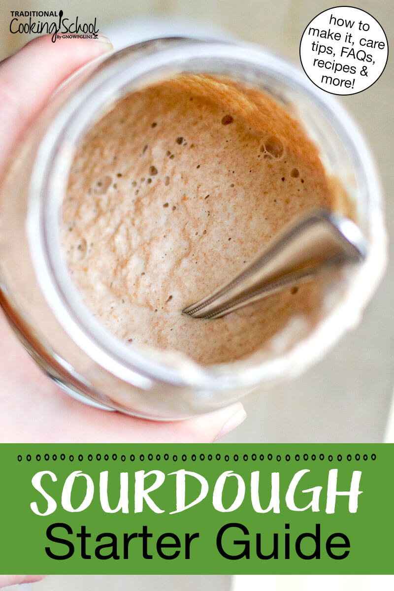 Bubbly sourdough starter in a glass jar tipped to show its contents. Text overlay says: "Sourdough Starter Guide (how to make it, care tips, FAQs, recipes & more!)"