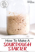 Bubbly sourdough starter in a glass jar. Text overlay says: "How To Make A Sourdough Starter (from scratch with only flour and water!)"
