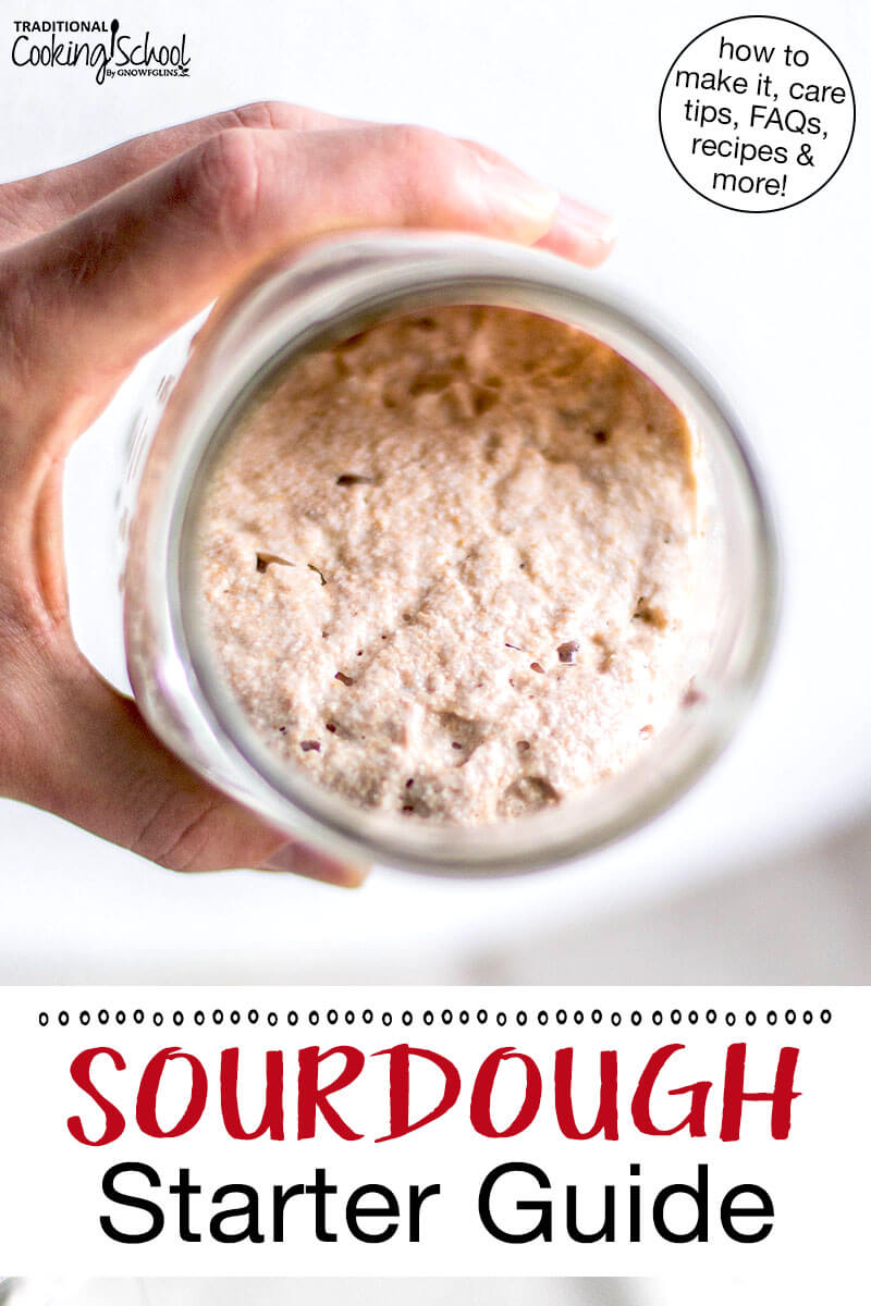Bubbly sourdough starter in a glass jar tipped to show its contents. Text overlay says: "Sourdough Starter Guide (how to make it, care tips, FAQs, recipes & more!)"