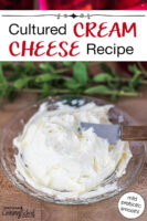 Homemade cream cheese on a small dish. Text overlay says: "Cultured Cream Cheese Recipe (mild probiotic smooth)"