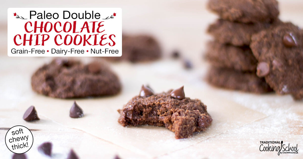 Paleo Chocolate Chip Cookies (Grain-Free, Dairy-Free, Nut-Free)