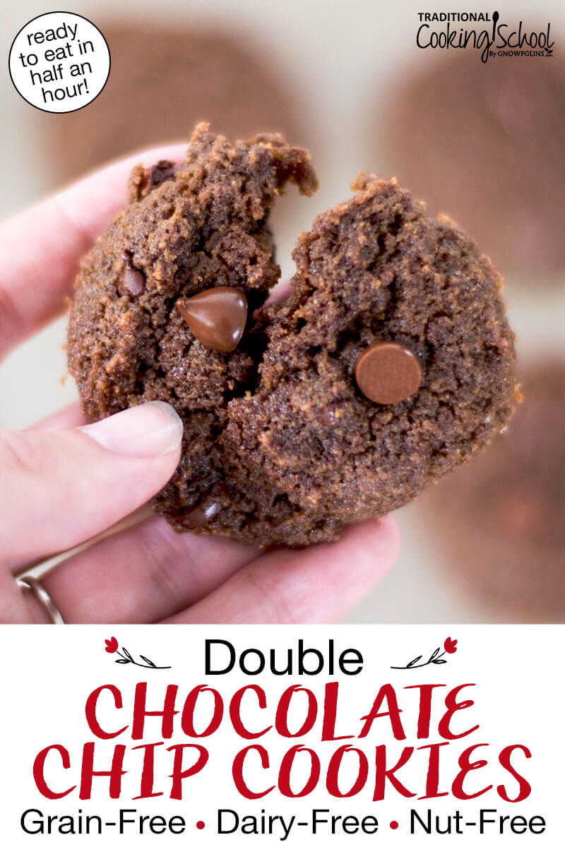 Close-up shot of a chocolate cookie broken in two to show the soft texture. Text overlay says: "Double Chocolate Chip Cookies: Grain-Free Dairy-Free Nut-Free (ready to eat in half an hour!)"