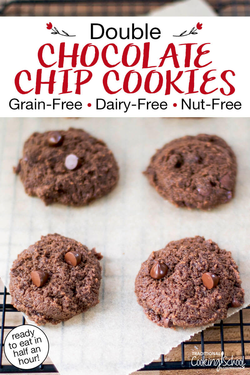 4 chocolate cookies on a cooling rack. Text overlay says: "Double Chocolate Chip Cookies: Grain-Free Dairy-Free Nut-Free (ready to eat in half an hour!)"
