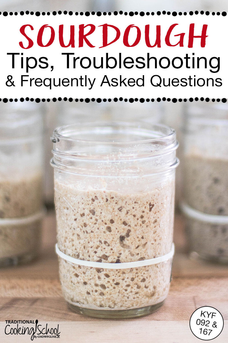 Bubbly sourdough starter in a small glass jar. Text overlay says: "Sourdough Tips, Troubleshooting & Frequently Asked Questions (KYF 092 & 167)"