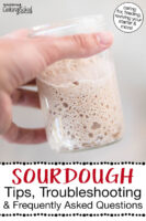 Woman's hand holding a small glass jar of sourdough starter. Text overlay says: "Sourdough Tips, Troubleshooting & Frequently Asked Questions (caring for, feeding, reviving your starter & more!)"