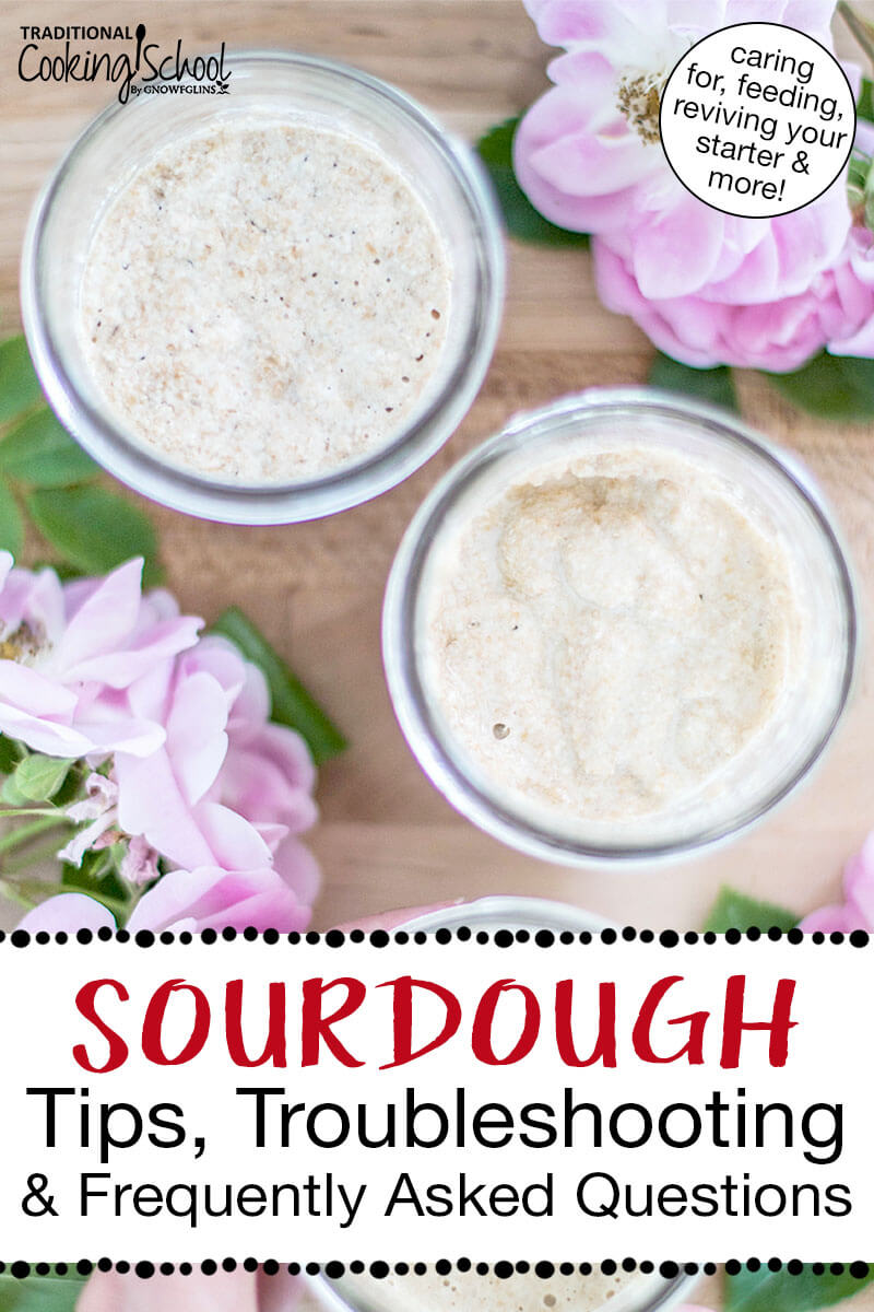 Small glass jars of sourdough starter. Text overlay says: "Sourdough Tips, Troubleshooting & Frequently Asked Questions (caring for, feeding, reviving your starter & more!)"