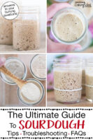 Photo collage of small glass jars of sourdough starter. Text overlay says: "The Ultimate Guide To Sourdough: Tips, Troubleshooting, FAQs (answers to your burning questions!)"