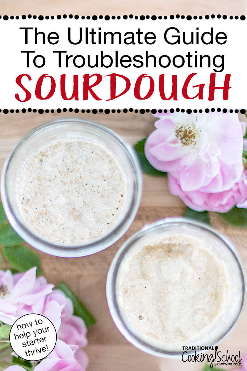 Small glass jars of bubbly, active sourdough starter. Text overlay says: "The Ultimate Guide To Troubleshooting Sourdough (how to help your starter thrive!)"