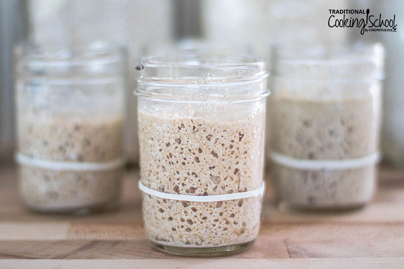 Bubbly sourdough starter in a small glass jars.