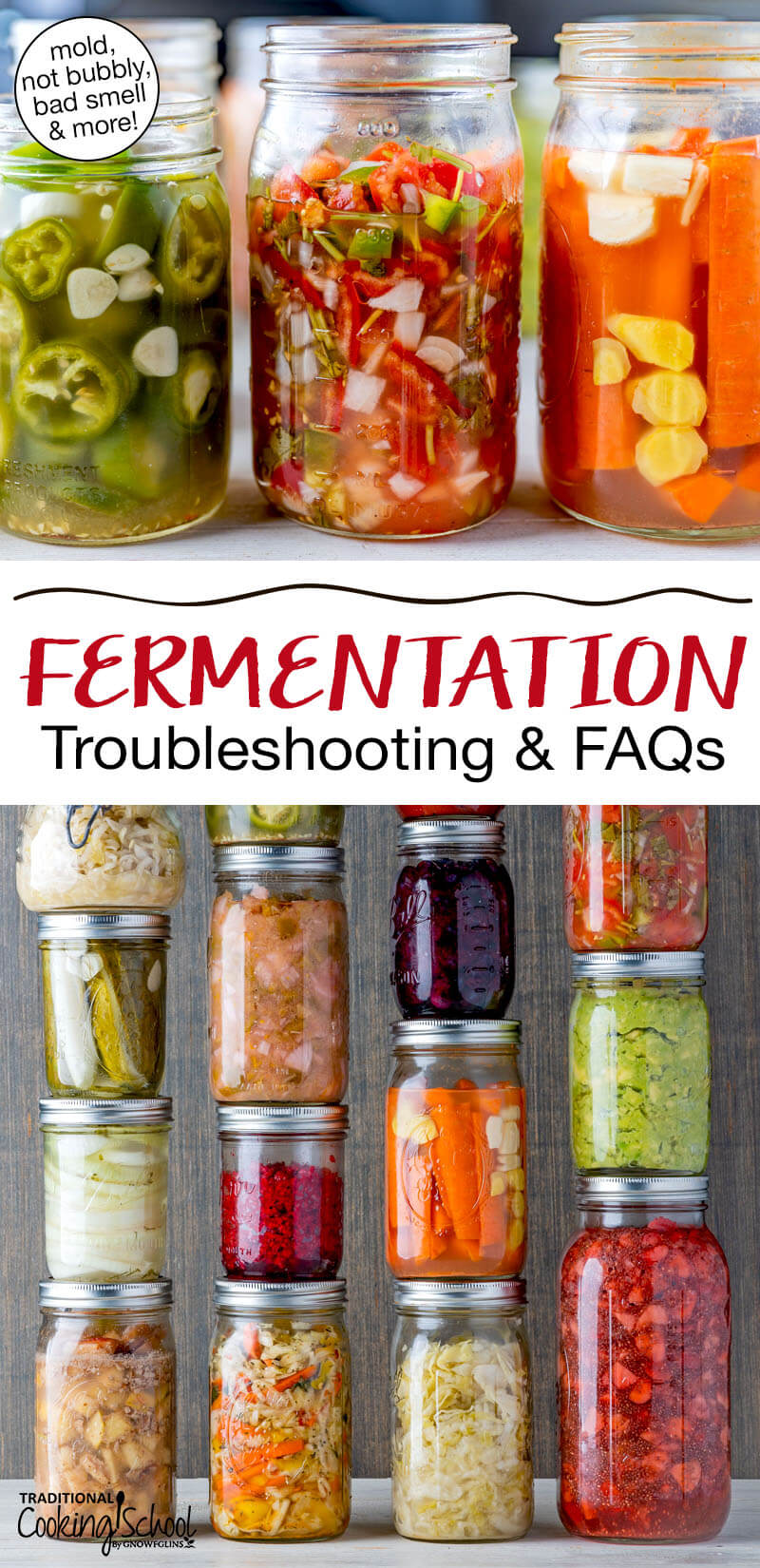Photo collage of a wide variety of colorful ferments in glass jars. Text overlay says: "Fermentation Troubleshooting & FAQs (mold, not bubbly, bad smell & more!)"