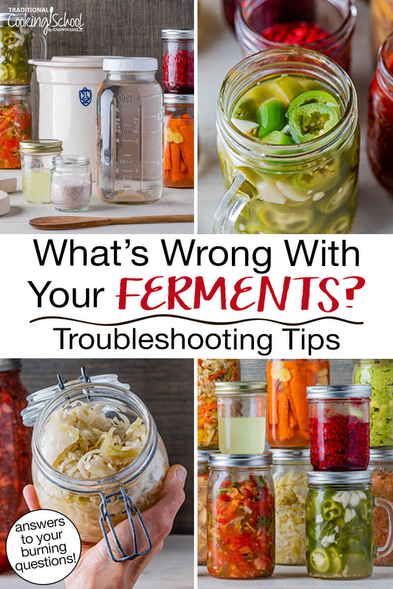 Photo collage of ferments and fermenting supplies. Text overlay says: "What's Wrong With Your Ferments? Troubleshooting Tips (answers to your burning questions!)"