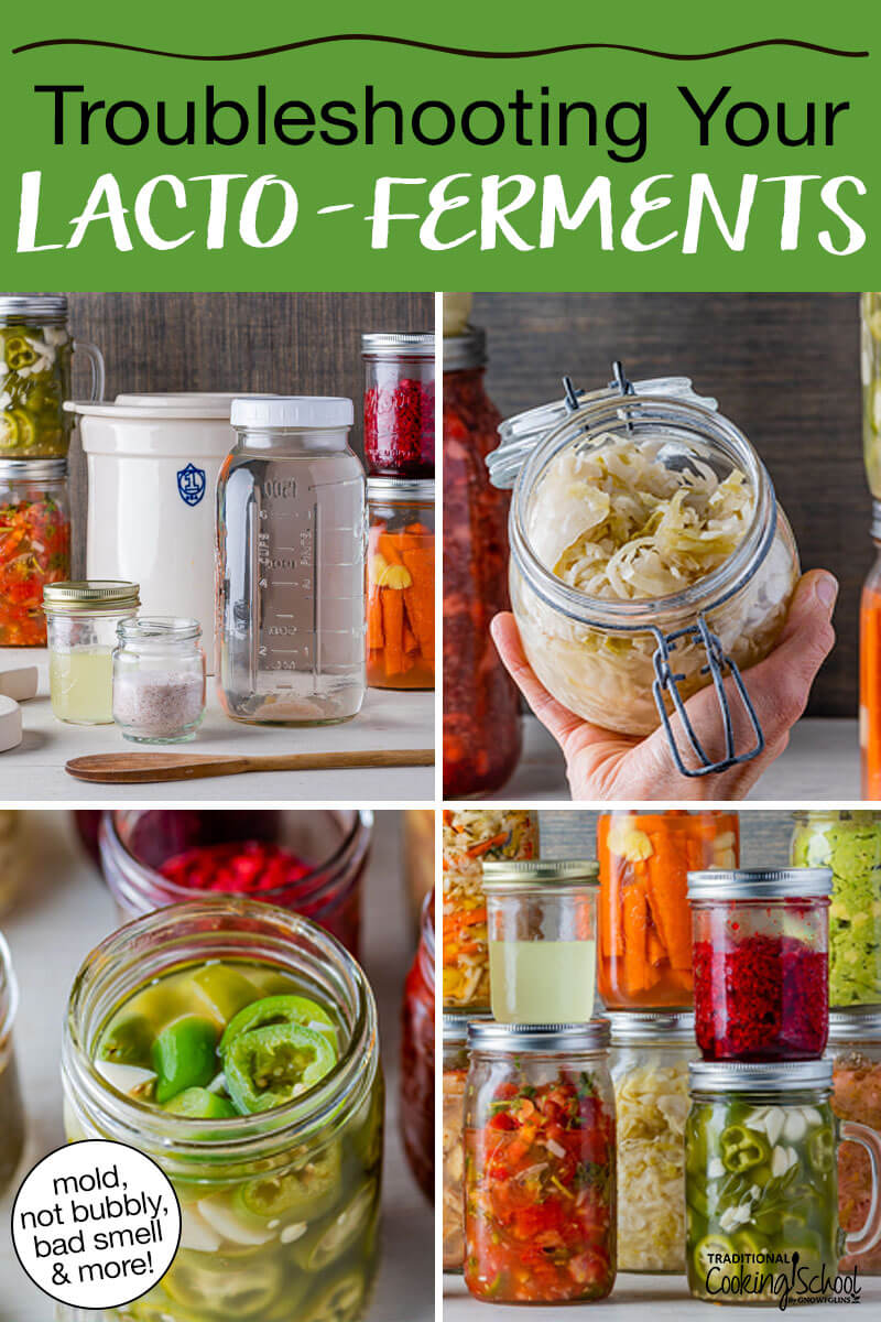 Photo collage of ferments and fermenting supplies. Text overlay says: "Troubleshooting Your Lacto-Ferments (moldy, not bubbly, bad smell & more)"