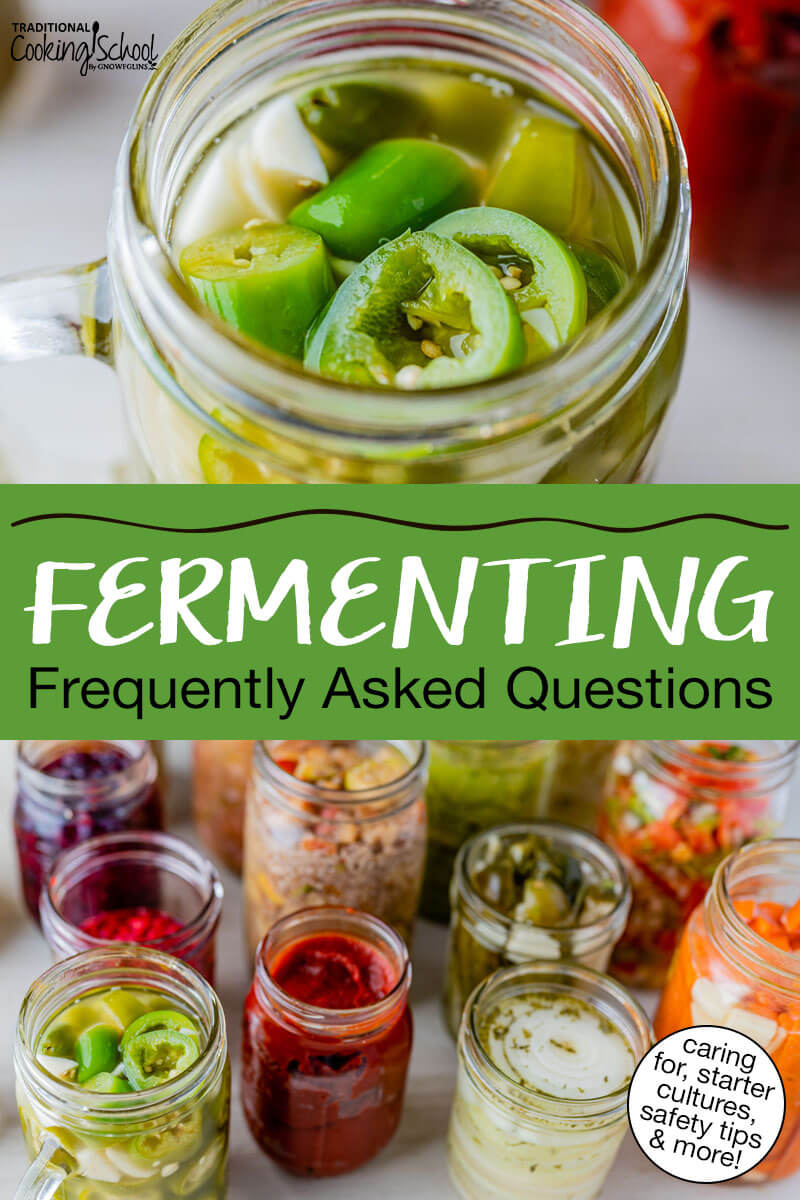 Photo collage of jars of a wide variety of homemade ferments. Text overlay says: "Fermenting Frequently Asked Questions (caring for, starter cultures, safety tips & more!)"