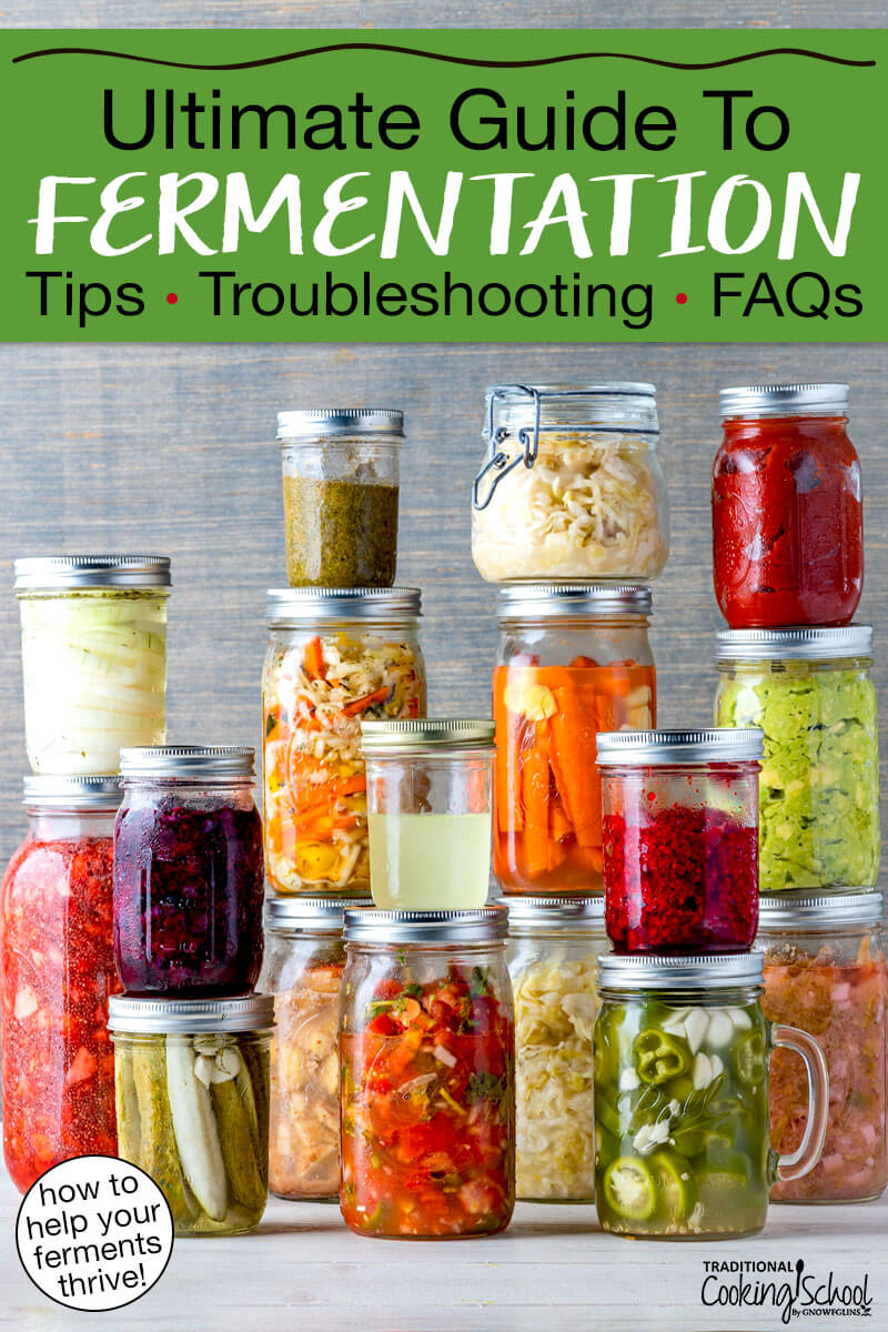 Wide variety of colorful ferments in glass jars. Text overlay says: "Ultimate Guide To Fermentation: Tips, Troubleshooting, FAQs (how to help your ferments thrive!)"