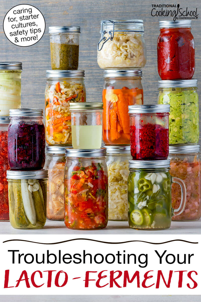 Wide variety of colorful ferments in glass jars. Text overlay says: "Fermentation Troubleshooting & FAQs (caring for, starter cultures, safety tips & more!)"