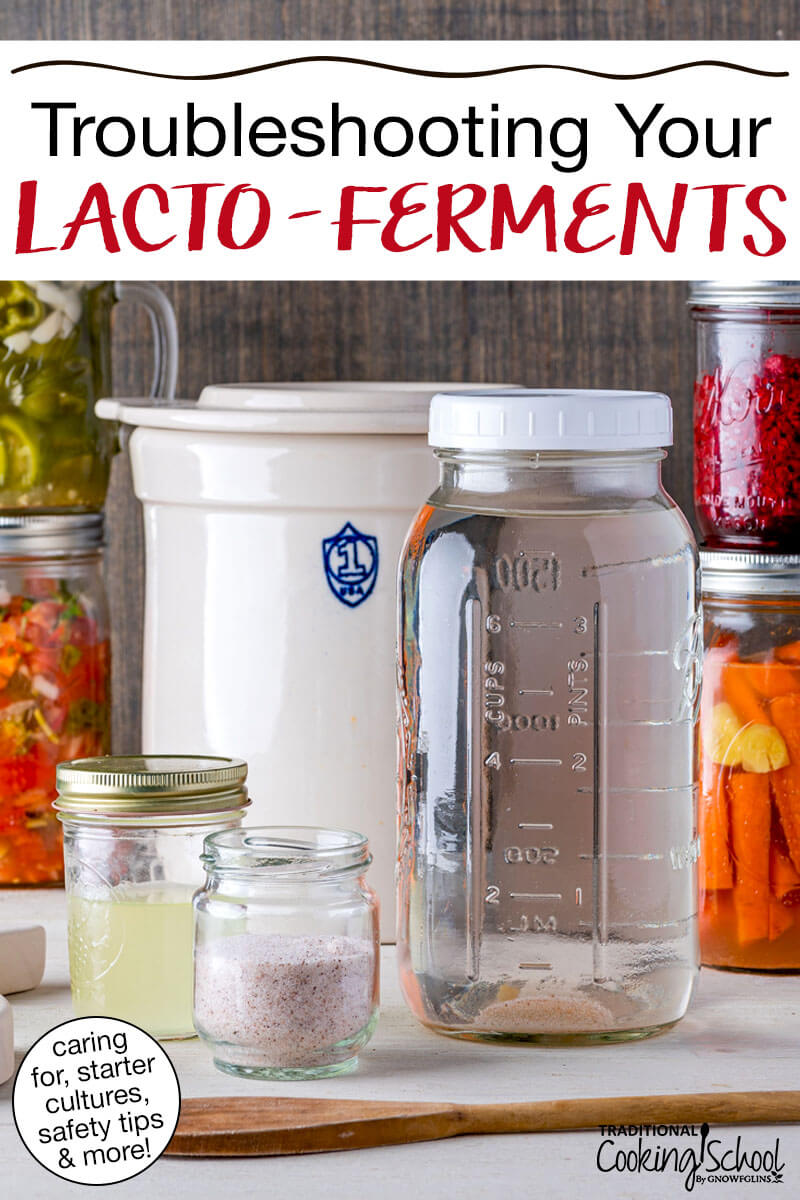 Fermenting equipment and ingredients: salt, salt brine, whey, and a fermenting crock with ferments in the background. Text overlay says: "Troubleshooting Your Lacto-Ferments (caring for, starter cultures, safety tips & more!)"