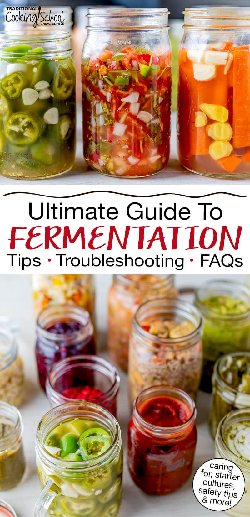 Photo collage of jars of a wide variety of homemade ferments. Text overlay says: "Ultimate Guide to Fermentation: Tips, Troubleshooting, FAQs (caring for, starter cultures, safety tips & more!)"