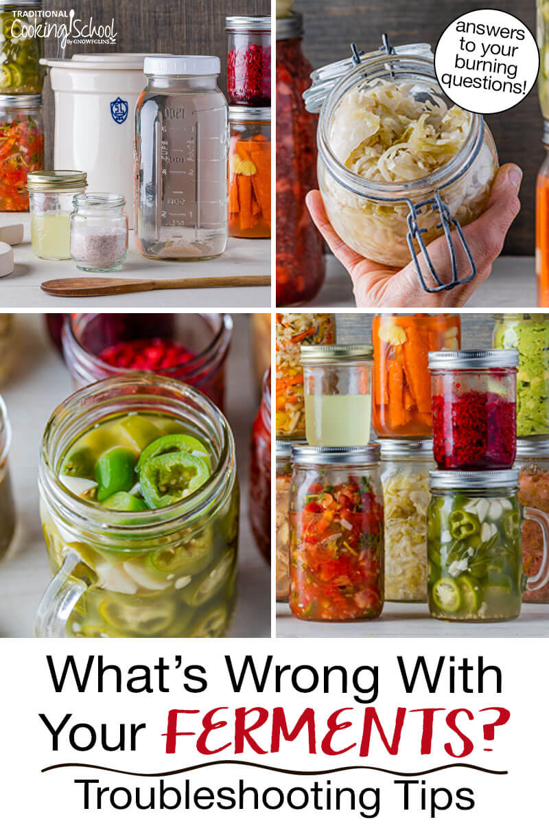 Photo collage ferments and fermenting supplies. Text overlay says: "What's Wrong With Your Ferments? Troubleshooting Tips (answers to your burning questions!)"