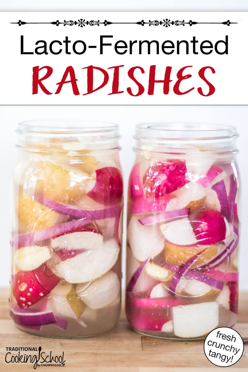 Radishes pickling in quart-sized Mason jars along with other red onion slices. Text overlay says: "Lacto-Fermented Radishes (fresh crunchy tangy!)"