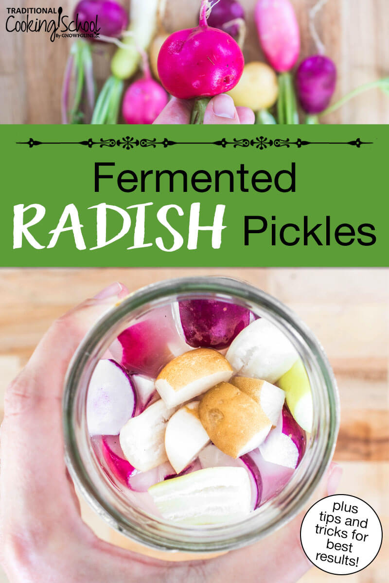 Photo collage of a woman's hand holding a radish and a quart sized jar of radish wedges in a salt brine. Text overlay says: "Fermented Radish Pickles (plus tips and tricks for best results)"