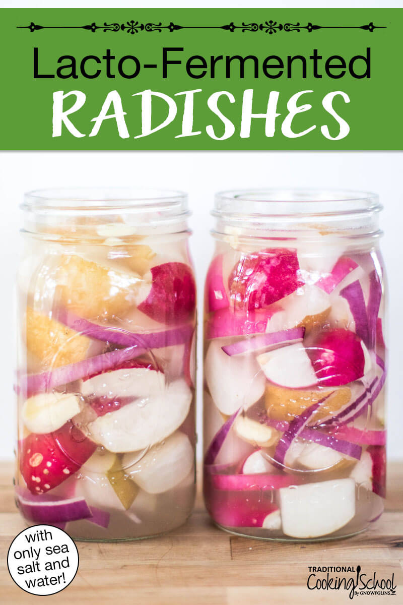 Radishes pickling in quart-sized Mason jars along with other red onion slices. Text overlay says: "Lacto-Fermented Radishes (with only sea salt and water!)"