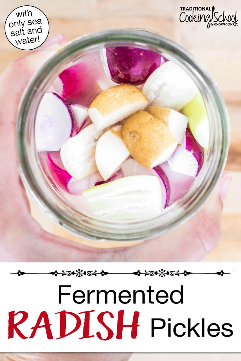 Woman's hand holding a quart sized jar of radish wedges in a salt brine. Text overlay says: "Fermented Radish Pickles (with only sea salt and water)"