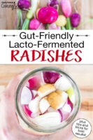 Photo collage of a woman's hand holding a radish and a quart sized jar of radish wedges in a salt brine. Text overlay says: "Gut-Friendly Lacto-Fermented Radishes (plus tips and tricks for best results)"