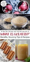 Photo collage of powdered gelatin and recipes that call for gelatin, including blackberry ice cream, bone broth, and dairy-free fudge pops. Text overlay says: "What Is Gelatin? Benefits, Sourcing Tips & Recipes (from bone broth to ice cream!)"